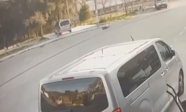 Sahipsiz köpekler 8 yaşındaki çocuğa saldırdı
